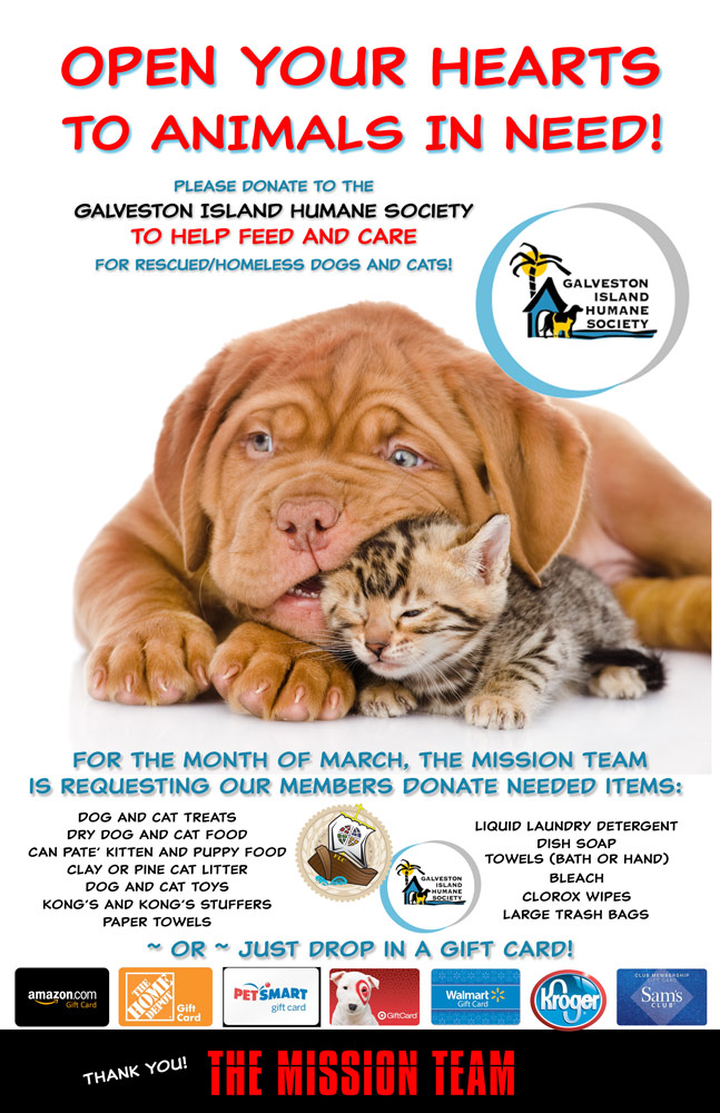 Flyer Galveston Island Humane Society Rising Tide New Media